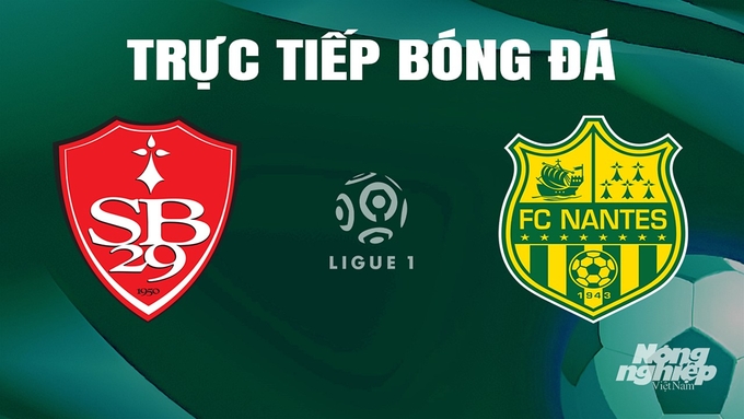 Trực tiếp bóng đá Ligue 1 (VĐQG Pháp) 2023/24 giữa Brest vs Nantes ngày 5/5/2024