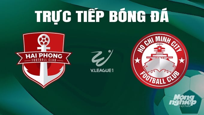 Trực tiếp bóng đá V-League 2023/24 giữa Hải Phòng vs TP.HCM hôm nay 4/5/2024