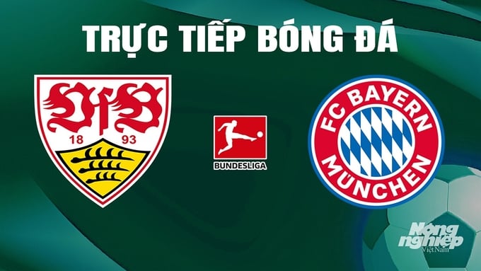 Trực tiếp bóng đá Bundesliga 2023/24 giữa Stuttgart vs Bayern Munich hôm nay 4/5/2024