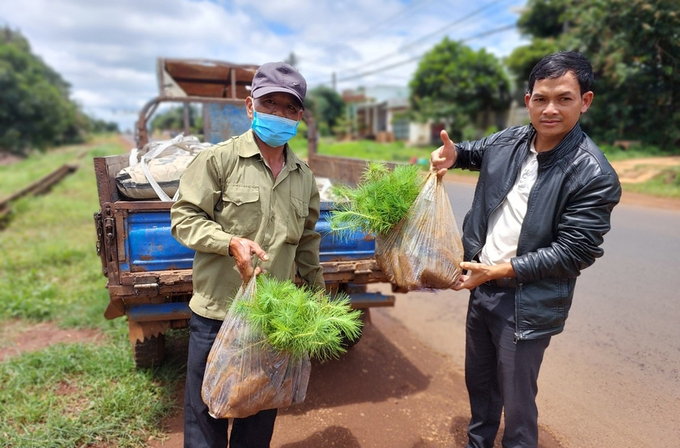 Huyện Đăk Đoa (tỉnh Gia Lai) hỗ trợ cây giống cho người dân các xã thực hiện trồng rừng. Ảnh: Đăng Lâm.