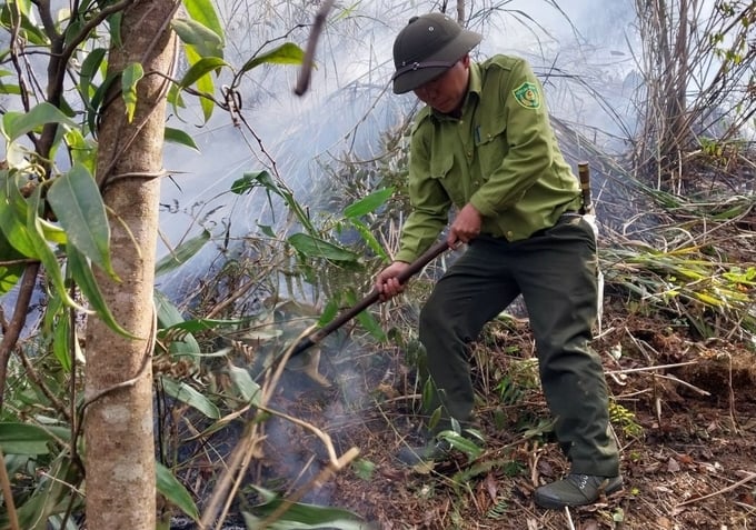 Most forest rangers and people still use basic tools to prevent forest fires. Photo: Thanh Tien.