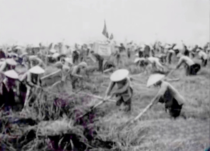 Công nhân nông trường quân đội Điện Biên khắc phục chiến tranh, khai hoang ruộng đất sản xuất nông nghiệp. (Ảnh tư liệu).