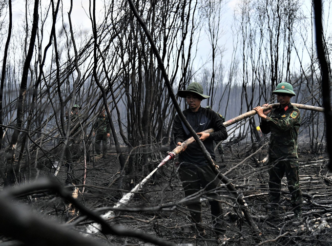 Vụ cháy rừng tại huyện Giang Thành (Kiên Giang) ngày 28/4 gây thiệt hại khoảng 371 ha rừng, gồm 300 ha rừng sản xuất và 71 ha rừng phòng hộ. Ảnh: Trung Chánh.