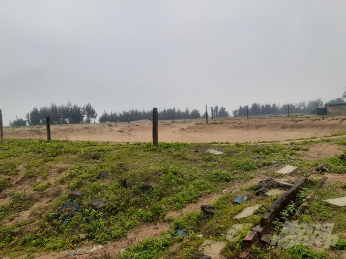 Dự án nuôi tôm của Công ty Long Phú nay chỉ còn là bãi đất trống. Ảnh: Quốc Toản.