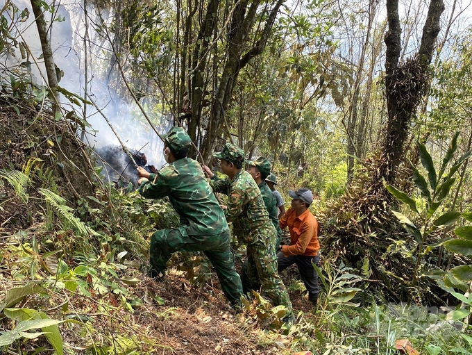 Vụ cháy rừng ở Hà Giang đã khiến 15ha rừng bị thiệt hại. 