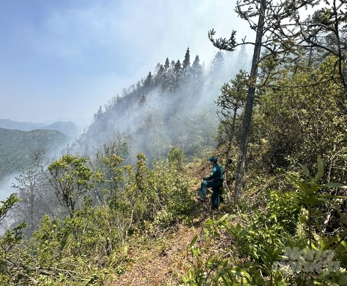 Vụ cháy rừng đã khiến 2 cán bộ kiểm lâm thiệt mạng cùng một số người bị thương. 