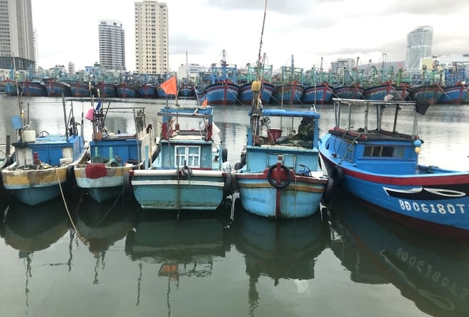 Bình Định còn nhiều tàu cá có công suất nhỏ chuyên đánh bắt thủy sản vùng ven bờ. Ảnh: V.Đ.T.