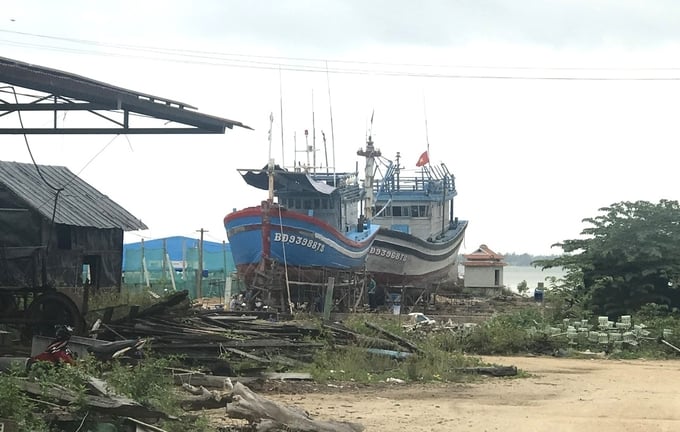 Bình Định sẽ xả bản khoảng hơn 340 tàu cá vỏ gỗ đã rệu rã, đánh bắt không còn hiệu quả, có nguy cơ cao vi phạm IUU. Ảnh: V.Đ.T.