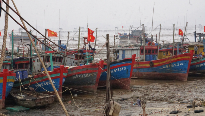 Tàu cá neo đậu tại bờ biển xã Ngư Lộc, huyện Hậu Lộc, tỉnh Thanh Hóa. Ảnh: QT.