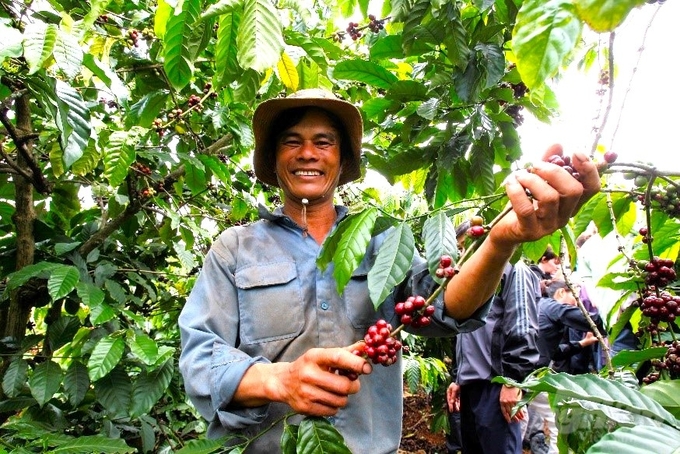 Soon, the Ministry of Agriculture and Rural Development will closely coordinate with the Ministry of Industry and Trade, the Ministry of Foreign Affairs, and the Vietnamese embassies in various countries; directing units under the Ministry and local authorities to further intensify trade promotion activities with more specific market structures. Photo: TL.