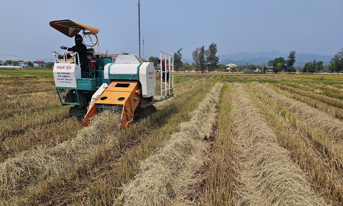 Máy cuộn rơm hoạt động trên đồng ruộng xã Hàm Ninh. Ảnh: T. Phùng.