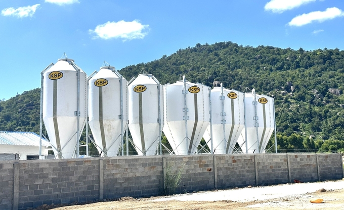 Large-scale pig farms are modernly designed, applying science and technology in animal care and management. Photo: Tuan Anh.