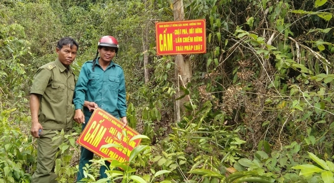 Vào mùa nắng nóng lực lượng quản lý bảo vệ rừng ở Phú Yên nỗ lực bảo vệ rừng. Ảnh: Kim Sơ.