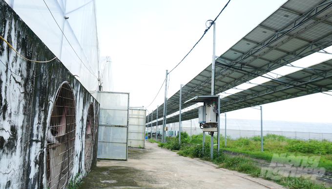 Để tiết kiệm điện và giảm phát thải, Trang trại Việt đã đầu tư hệ thống điện mặt trời để vận hành 36 nhà màng. Ảnh: Lê Bình.
