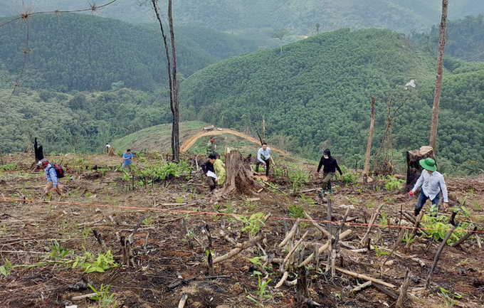 Bảo vệ tài nguyên rừng và đảm bảo lợi ích kinh tế đang là bài toán hóc búa của huyện Con Cuông. Ảnh: Khôi An.