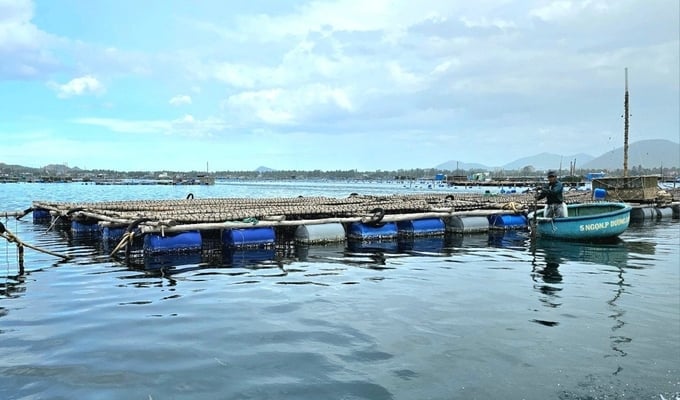 Phú Yên là tỉnh có đầy tiềm năng về nuôi trồng thủy sản. Ảnh: KS.