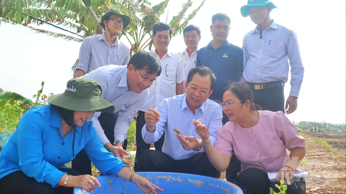 Lãnh đạo tỉnh Sóc Trăng kiểm tra, khảo sát tình hình xuống giống vụ tôm nước lợ năm 2024. Ảnh: Kim Anh.