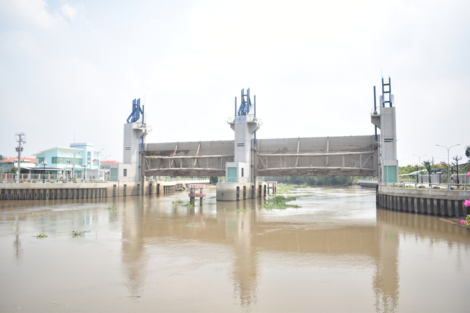 Cống Phú Phong trên đường tỉnh 864 vận hành mở, lấy nước ngọt. Ảnh: Minh Đảm.