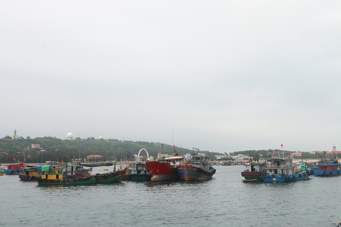 Hai Phong city has not received reports of fishing vessels infringing on foreign waters since the beginning of 2024. Photo: Dinh Muoi.