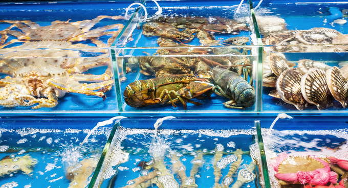 The demand for live lobsters and live crabs in China is increasing rapidly. Photo: SS.