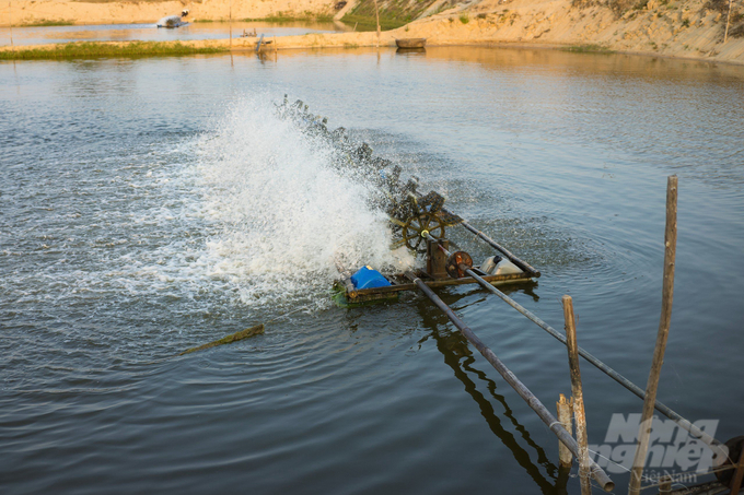 Dự án Aqua Xanh có mục đích góp phần giảm ô nhiễm nguồn nước thông qua việc quảng bá, thúc đẩy thực hiện các quy trình thực hành nuôi trồng thủy sản bền vững ở khu vực ĐBSCL. Ảnh: Trọng Linh.