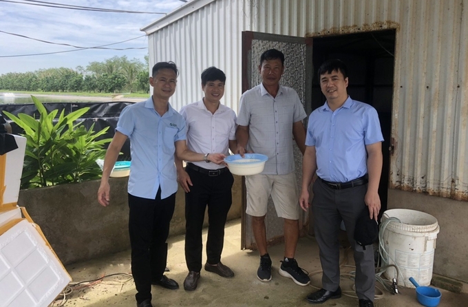 Implementing a 2-phase all-male freshwater prawn farming model at Mr. Pham Van Nhieu's household. Photo: Dinh Muoi.