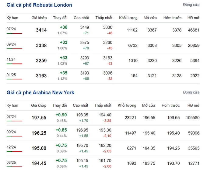 Giá Arabica và Robusta mới nhất ngày 9/5/2024