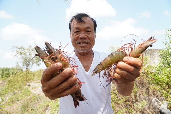 Những năm gần đây, mô hình tôm – rừng trở thành sinh kế chính của người dân xã Viên An Đông, huyện Ngọc Hiển, tỉnh Cà Mau. Ảnh: Kim Anh.