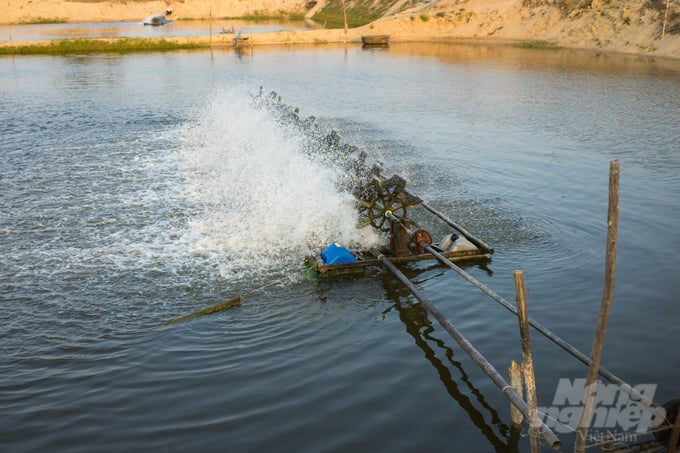 The Aqua Xanh project contributes to reducing water pollution by promoting the implementation of sustainable aquaculture practices in the Mekong Delta. Photo: Trong Linh.