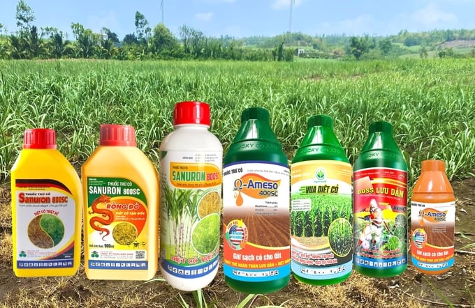 Các sản phẩm thuốc trử cỏ hiệu quả, an toàn và tiết kiệm cho cây mía. Ảnh: Tuấn Anh.