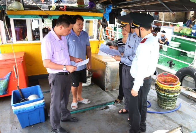 Cán bộ đoàn kiểm tra Sở NN-PTNT kiểm tra các giấy tờ theo quy định đối với tàu cá hoạt động trên địa bàn tỉnh Quảng Ninh. Ảnh: Hoàng Nguyên.