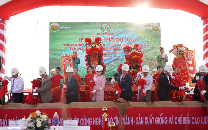 The project will deploy planting 1,000 hectares of sorghum in Phu Yen.
