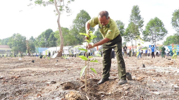 Bình Dương đã tổ chức trồng bình quân 38,6 ha cây sao, dầu... mỗi năm góp phần nâng cao tỷ lệ che phủ cây lâm nghiệp và cây lâu năm duy trì ở mức 57,5%. Ảnh: Trần Trung.