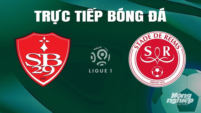 Trực tiếp bóng đá Ligue 1 (VĐQG Pháp) 2023/24 giữa Brest vs Reims ngày 11/5/2024