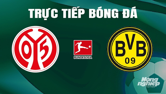 Trực tiếp bóng đá Bundesliga 2023/24 giữa Mainz 05 vs Dortmund hôm nay 11/5/2024