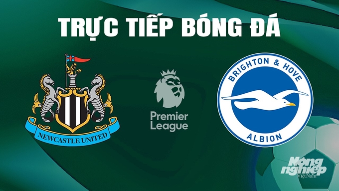 Trực tiếp bóng đá Ngoại hạng Anh giữa Newcastle United vs Brighton hôm nay 11/5/2024