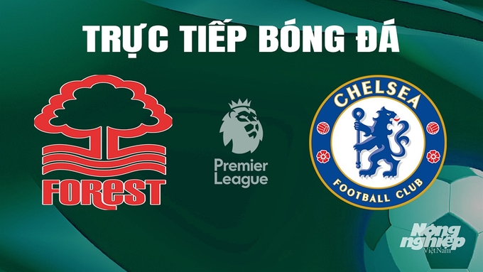 Trực tiếp bóng đá Ngoại hạng Anh giữa Nottingham Forest vs Chelsea hôm nay 11/5/2024