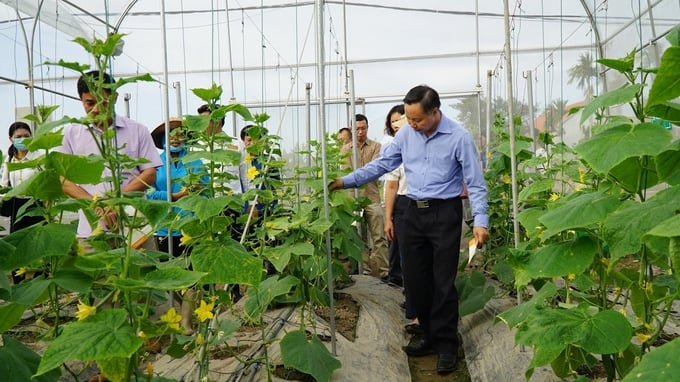 The model maintains optimal conditions for the growth and development of safe, high-quality vegetables and fruits. Photo: Dinh Muoi.