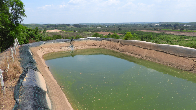 Để đảm bảo nước tưới cho cây có múi, C-Farm không ngần ngại đầu tư hệ thống hồ chứa kết hợp hệ thống tưới châm phân hữu cơ tiên tiến nhất hiện nay. Ảnh: Trần Trung.
