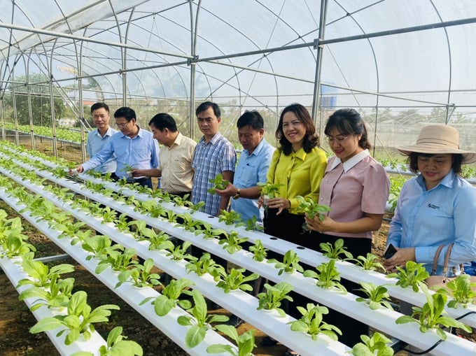 The leadership of Hai Phong city's Department of Agriculture and Rural Development conducting an inspection of the hydroponic vegetable farming model. Photo: Dinh Muoi.