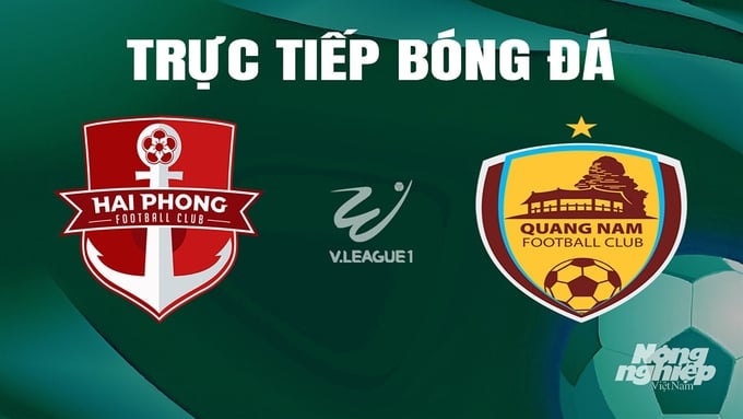Trực tiếp bóng đá V-League 2023/24 giữa Hải Phòng vs Quảng Nam hôm nay 12/5/2024