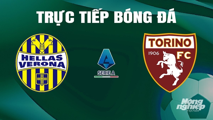 Trực tiếp bóng đá Serie A 2023/24 giữa Hellas Verona vs Torino hôm nay 12/5/2024