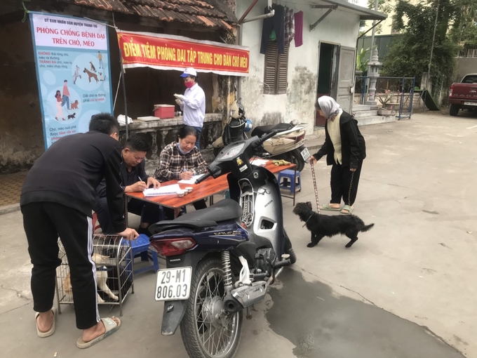 Tiêm phòng cho chó, mèo ở Hà Nội. Ảnh: Tư liệu.