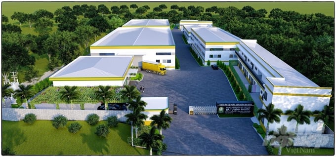 Binh Phuoc has its first plant specializing in processing Green Cashew Nuts.