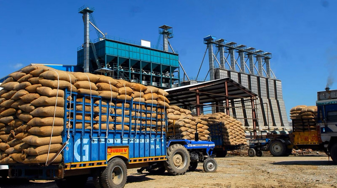 Bộ Nông nghiệp Mỹ dự báo Ấn Độ vẫn sẽ đứng đầu trong xuất khẩu gạo thế giới. Ảnh: Mint.