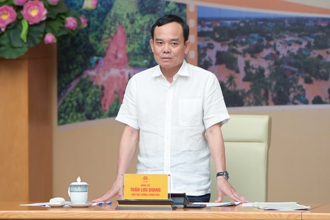 Deputy Prime Minister Tran Luu Quang raised nine tasks and solutions for the coming time. Photo: Tung Dinh.