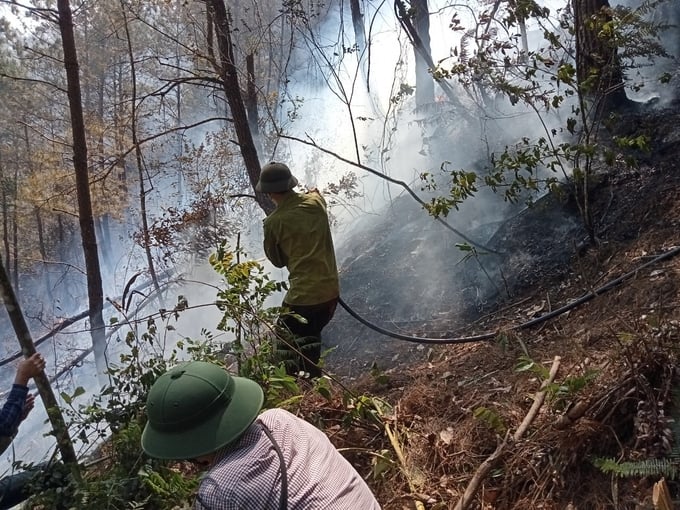 Mặc dù luôn chủ động các phương án nhưng nguy cơ cháy rừng tại các huyện vùng cao ở Yên Bái luôn ở mức cao. Ảnh: Thanh Tiến.