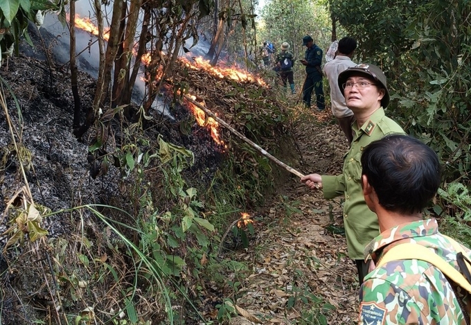Từ đầu năm đến nay tỉnh Yên Bái đã xảy ra 13 vụ cháy rừng. Ảnh: Thanh Tiến.