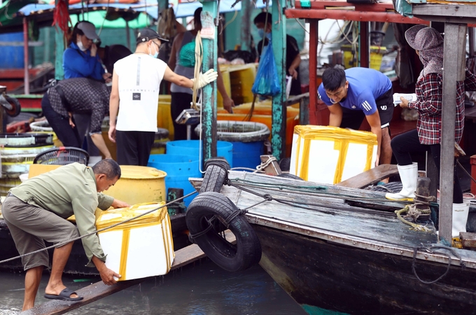 For fisheries exploitation, the total number of workers decreased to about 600,000 people. Photo: Hong Tham.