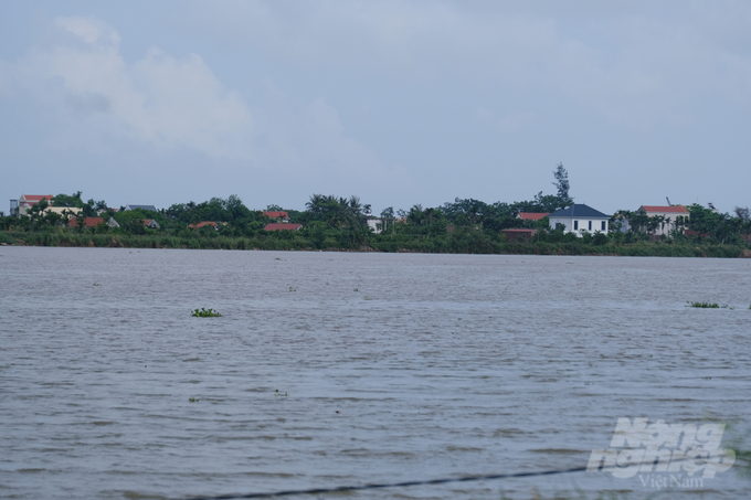 Sông Đáy chảy qua địa bàn huyện Nghĩa Hưng, nơi xảy ra hiện tượng cá tự nhiên chết nổi những ngày qua. Ảnh: K.Trung.